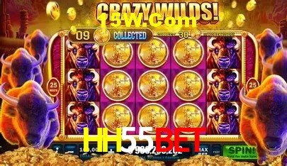 HH55.Com